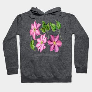 Clematis flowers and leaves Hoodie